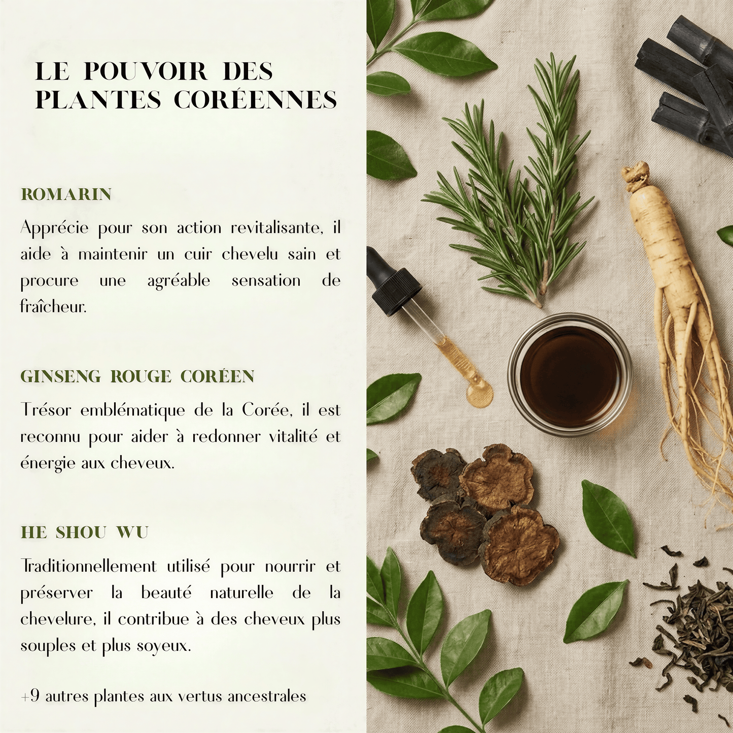 The Soracare™ Shampoing coréen solide revitalisant
