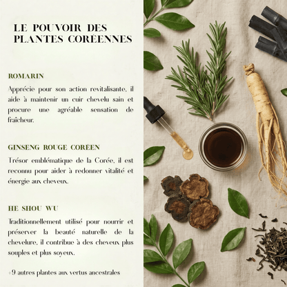 The Soracare™ Shampoing coréen solide revitalisant